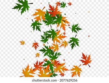Golden Leaves Background Transparent Vector. Floral Isolated Pattern. Brown Forest. Bright Design. Ocher Leaf Seasonal.