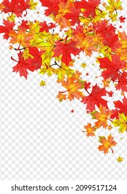 Golden Leaves Background Transparent Vector. Foliage Canadian Design. Brown Nature Plant. Celebrate Leaf Frame.