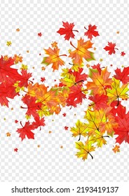 Golden Leaves Background Transparent Vector. Leaf Ground Frame. Red Canadian Foliage. Forest Plant Template.
