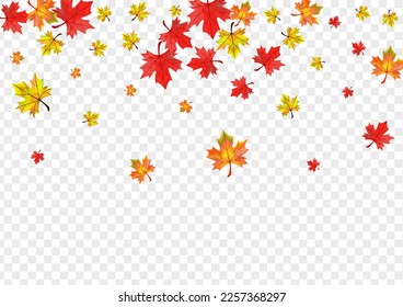 Vector transparente de fondo de hojas doradas. Tarjeta de árbol floral. Foliage estacional de Ocher. Decoración de textura vegetal.