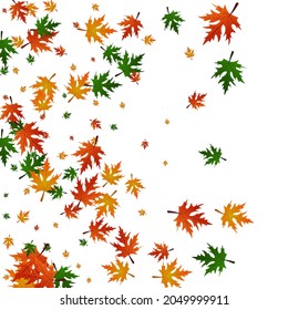 Goldene Blätter weißer Hintergrund. Blattpapiermuster Ocher Hell. Herbstrahmen. Der Herbst des gelben Leaf.