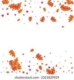 Golden Leaves Background White Vector. Acorn Border Frame. Orange Plant. Realistic Texture. Green Leaf Paper.