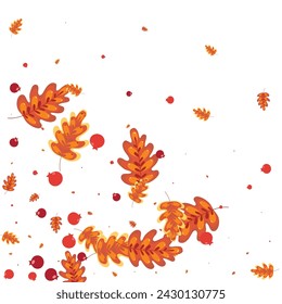 Golden Leaves Background White Vector. Oak Realistic Design. Yellow Plant. Banner Texture. Brown Acorn October.