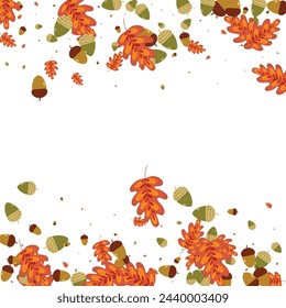 Golden Leaves Background White Vector. Acorn Autumn Frame. Orange Oak. September Texture. Green Plant Natural.