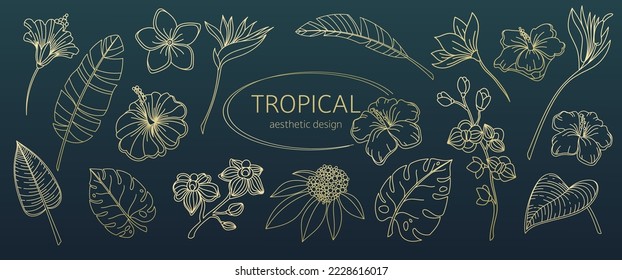 Golden leaves and flowers from tropics line icons set vector illustration. Hand drawn outline gold aesthetic collection with tropical palm leaf with striped texture and luxury blossom of tropics