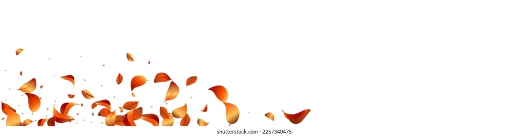 Golden Leaves Fly Vector White Panoramic Background Banner. Motion Solar Border. Yellow Foliage Wind Brochure. Leaf Forest Branch.