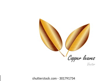 Golden leaves.two golden leaves on white background.Vector illustration