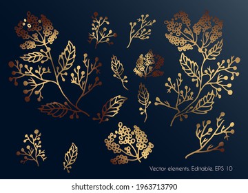 Golden leaves. Set of golden leaves on a dark glowing and shiny background. Vector.