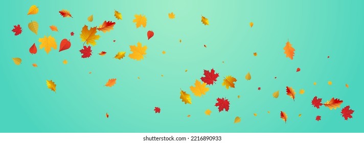 Fondo Panorámico Azul Vector Dorado. Ilustración Estacional De Hojas. Marco vegetal canadiense naranja. Decoración.