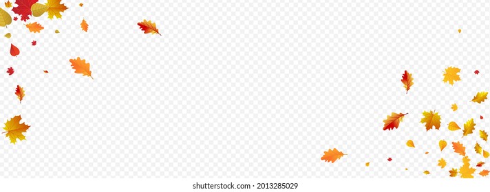 Golden Leaves Vector Panoramic Transparent Background. Pattern Leaf Card. Brown Realistic Foliage Illustration. Shape Template.