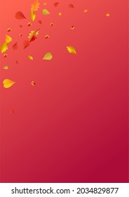 Golden Leaves Vector Red Background. Shape Plant Card. Orange Down Leaf Frame. Celebrate Design.