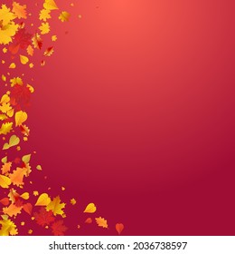 Golden Leaves Vector Red Background. Shape Floral Frame. Yellow Paper Plant Texture. Tree Template.