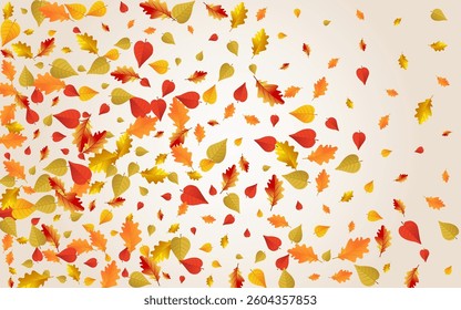 Golden Leaves Vector Transparent Background. Down Leaf Template. Green Canadian Plant Card. Design Design.