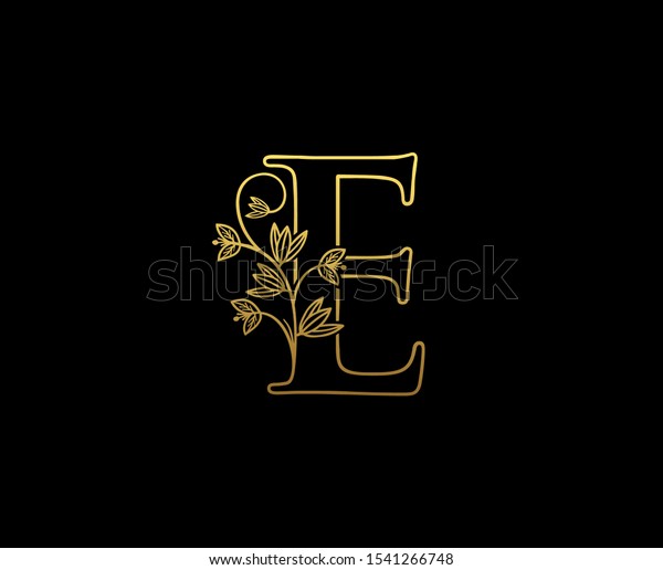 fancy e font