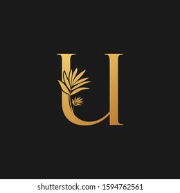 Golden Letter U Classic Vintage  Logo Icon. Vintage  design concept classic vector nature leaves  with letter logo icon gold color.