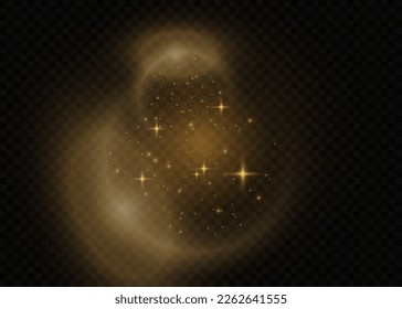 Golden light dust background vector