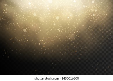 Golden light with dust. Vector on transparent background.