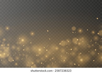 Golden light effect, glare, explosion, sparks, star. On a transparent background.