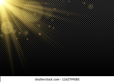 Golden light effect on on a dark transparent background. Golden galres bokeh. Bright flares. Gold rays. Magic explosion. Sunlight. Christmas light. Vector illustration. EPS 10