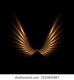 Golden light wings with glowing on black background. Abstract gold light glowing wings with neon effect. Futuristic shiny vector illustration.