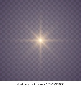 Golden lights sparkles isolated. Vector illustration of glowing lens flares and sparks.
Set of glowing stars. Vector illustration