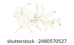 Golden lily flowers line art isolated on white background. Luxury lilies floral design elements for invitation, wedding, wallpaper, print template, vector illustration