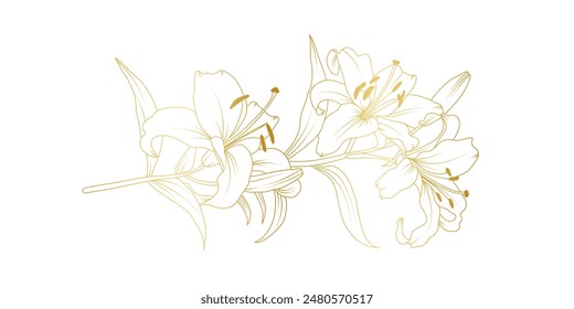 Golden lily flowers line art isolated on white background. Luxury lilies floral design elements for invitation, wedding, wallpaper, print template, vector illustration