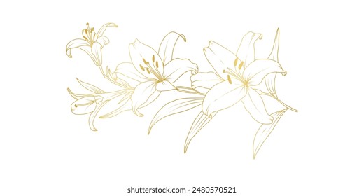 Flores de lirio dorado arte de línea aislado sobre fondo blanco. Elementos de diseño florales de lirios de lujo para invitación, boda, Fondo de pantalla, Plantilla de impresión, Ilustración vectorial