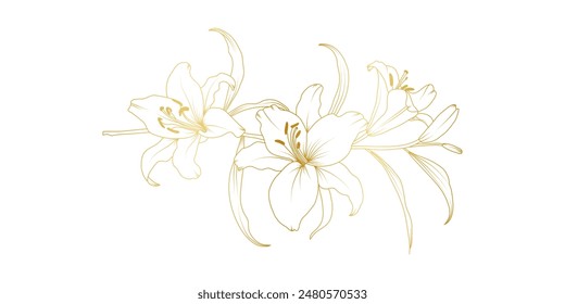 Golden lily flowers line art isolated on white background. Luxury lilies floral design elements for invitation, wedding, wallpaper, print template, vector illustration