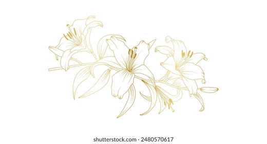 Golden lily flowers line art isolated on white background. Luxury lilies floral design elements for invitation, wedding, wallpaper, print template, vector illustration