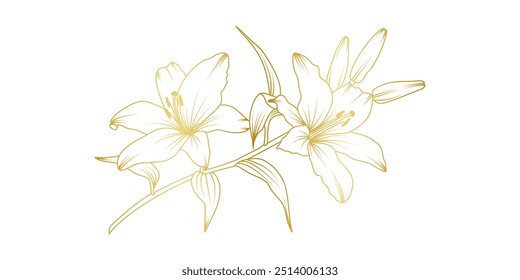 Flores lírio dourado linhagem arte isolado no fundo branco. Luxo lírios floral design elementos para convite, casamento, papel de parede, modelo de impressão, ilustração vetorial