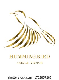 Golden line art Vector illustration on a white background of flying hummingbirds. Suitable for making logos