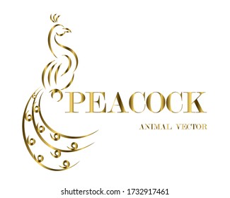 Golden line art Vector illustration on a white background of a peacock. Suitable for making logos