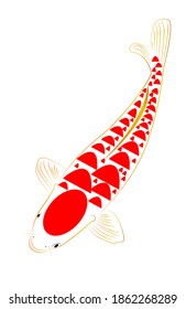 Golden line drawing koi fish It is illustrated in many colors to be auspicious color to the people who buy this work.