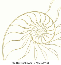 Golden line drawing of a nautilus shell cross-section on a cream background seashell spiral
