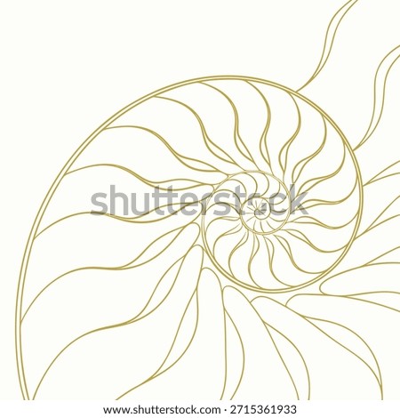 Golden line drawing of a nautilus shell cross-section on a cream background seashell spiral