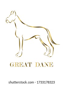 Golden line drawing on white background of Great Dane dog. It is standing