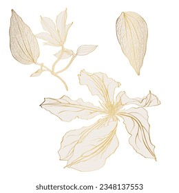 Ilustración dorada de flores clematis sobre un fondo blanco.