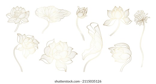 Golden line lotus. Gold sketch bloom flowers, unique flowers design. Beautiful decorative art lotuses, chinese or indian luxury symbols, nowaday vector set