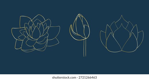 Linha dourada do conjunto de lótus elemento isolado, flor de flor, estilo gráfico, botânica vetor étnico plana