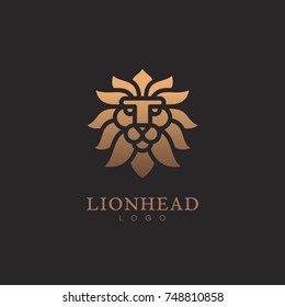 Golden lion head logo template design. Vector illustration.