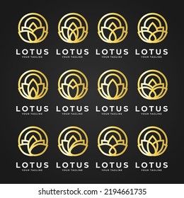 Golden Lotus Floer Set Logo Design Concept