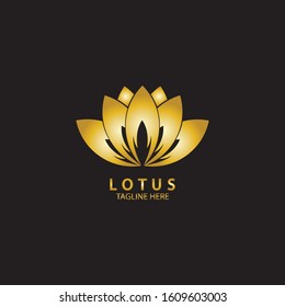 Golden lotus flower logo. Vector design template of lotus icon on dark background with golden effect for eco, beauty, spa, yoga, medical companies.