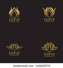 Golden lotus flower logo. Vector design template of lotus icon on dark background with golden effect for eco, beauty, spa, yoga, medical companies.