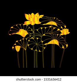 Golden Lotus image stripes, vector of lotus, waterlilly ,hydrophyte background. lotus flower drawing on black background, vector illustrator.