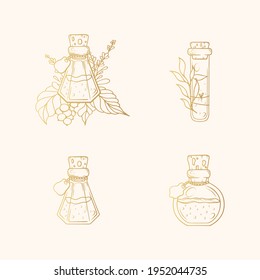 Golden Love potion set with floral branches. Vector isolated gold elixirs for witchcraft.