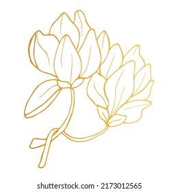 Golden Magnolia iisolated on white background. Hand drawn vector illustration for wedding invitations, greeting cards and witchcraft.