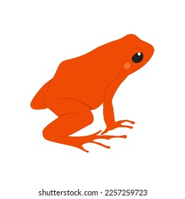 The golden mantella, Mantella aurantiaca, a small, endemic to Madagascar frog vector design, png image with transparent background