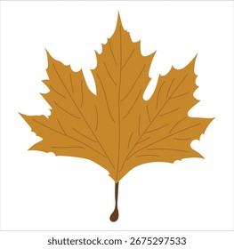 Golden Maple Autumn Leaf Vector Flat Seasonal Nature Illustration