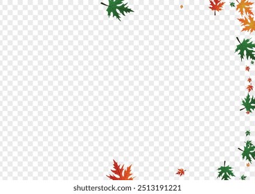 Fondo de arce dorado Vector transparente. Floral Celebrar la Plantilla. Otoño de oro. Hermoso marco. Hojas verdes de Canadá.